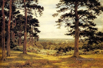 Bosque Painting - Un vistazo a través de los pinos paisaje Benjamin Williams líder bosque bosque